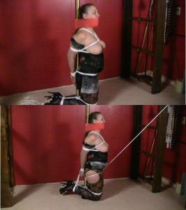 www.xsiteability.com - 0160 Pole Bound Hogtie Stile thumbnail