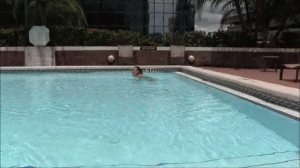 www.xsiteability.com - 0220 Taking A Swim thumbnail