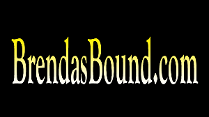 www.xsiteability.com - 0769 Two Board Girls thumbnail