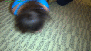 www.xsiteability.com - Jerked up into a brutal hogtie thumbnail
