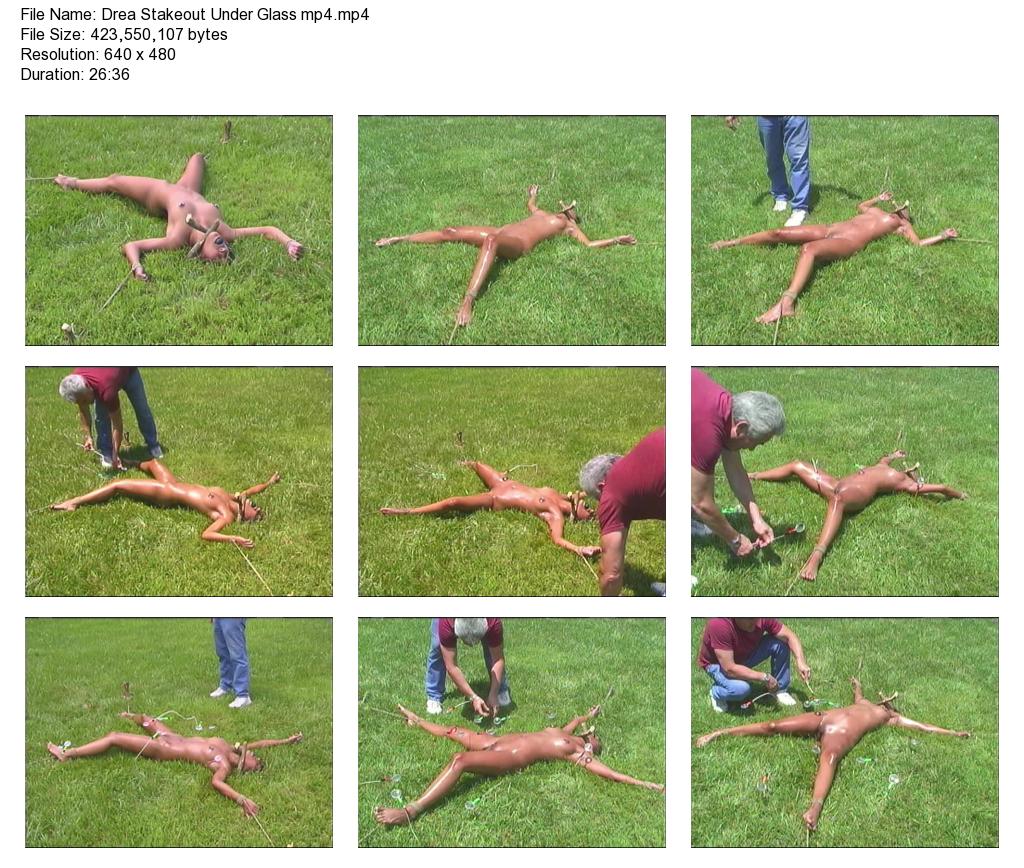 Drea stakeout under glass