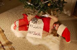 www.xsiteability.com - 1-60 Christmas Gifts Part I thumbnail