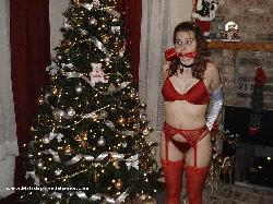 www.xsiteability.com - 1-58  Past Christmas Gifts thumbnail
