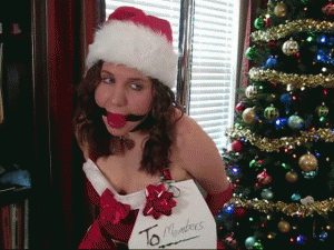 www.xsiteability.com - The Members Gift From Santa thumbnail