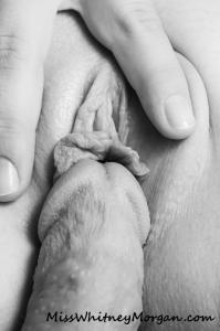 www.xsiteability.com - Miss Whitney Morgan & AJ: Art Erotica thumbnail