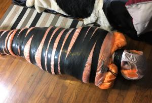 www.xsiteability.com - Extreme Mumification Of Miss Whitney Morgan - Photos thumbnail