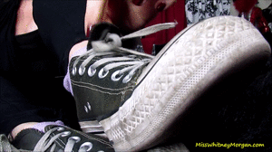 www.xsiteability.com - Loser Only Likes Whitney Morgan's Socks thumbnail