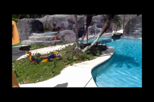 www.xsiteability.com - POV Virtual BlowJob On The Pool-Boy with Whitney Morgan thumbnail