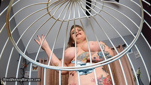 www.xsiteability.com - Miss Whitney Morgan: Voracious Sequestration thumbnail